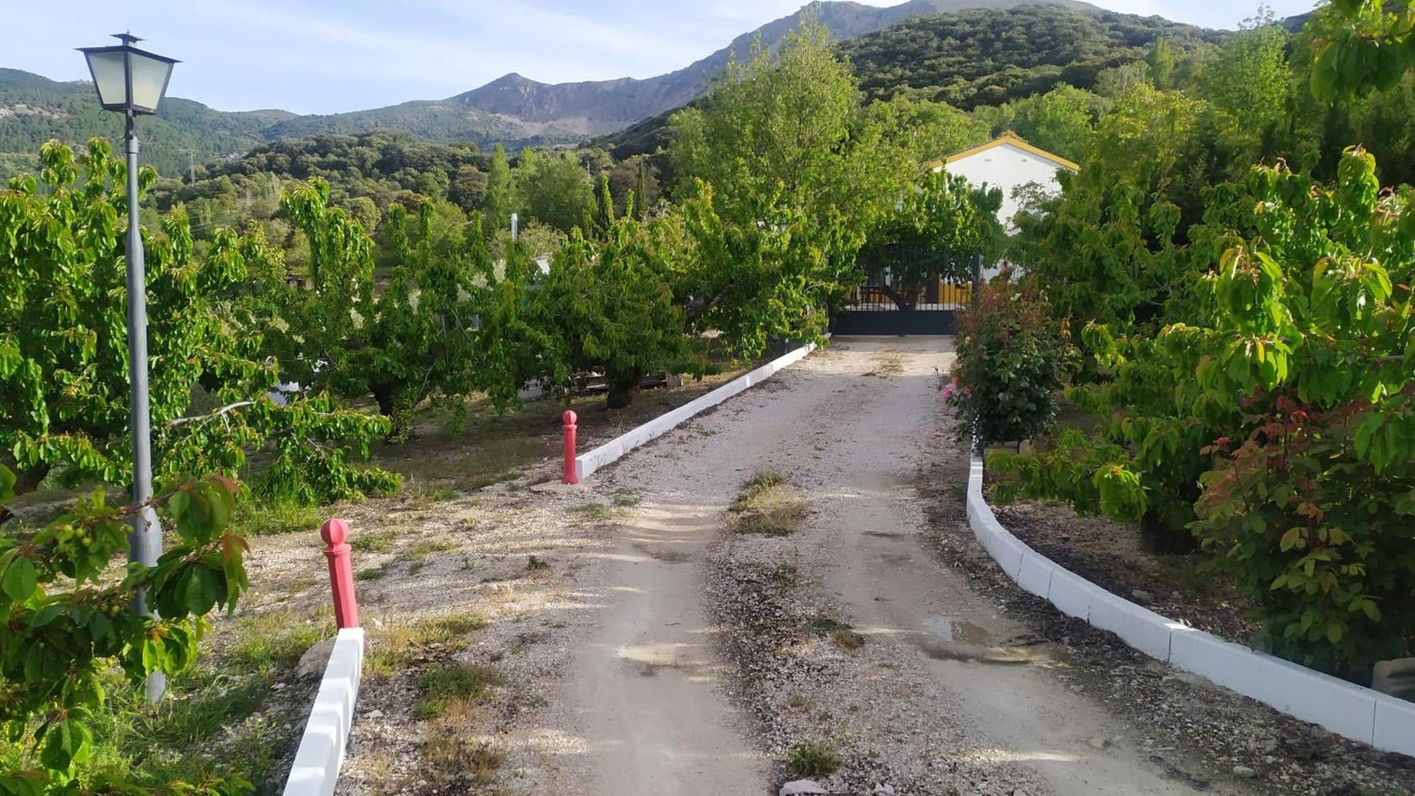 Los Cabales Torres  Exterior foto
